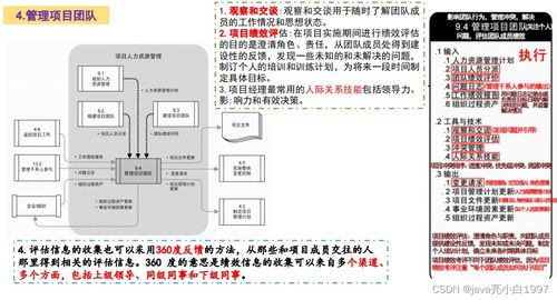 信息系統集成服務中的項目人力資源管理